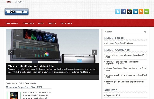 Our Client Website Hosting in patna